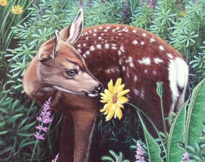 Wildlife Painting - "Mule Deer Fawn" (Poster)