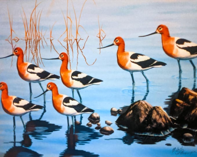 Wildlife Painting - "Avocets" (Poster)