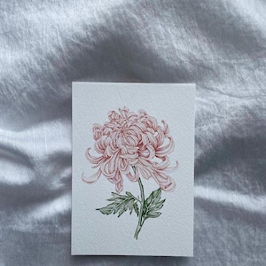 Chrysanthemum botanical print - Floral art - Watercolor - Vintage