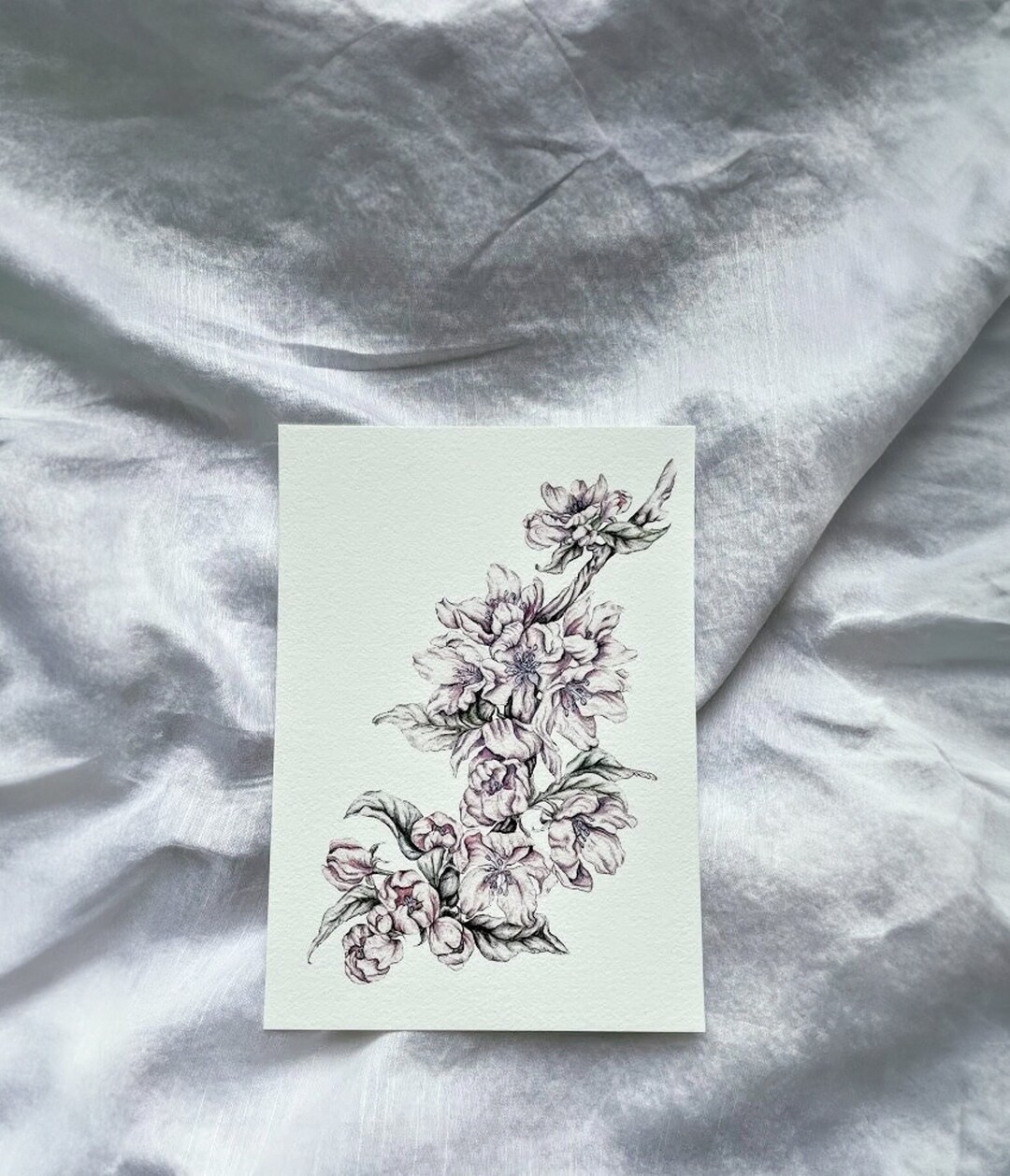 Apple Blossom Botanical Art Print - Floral Art - Watercolor - Vintage ...