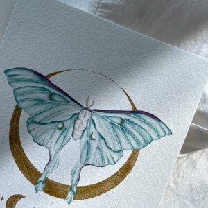 Luna Moth and Lunar. Print of the Original Illustration. Celestial Art ...