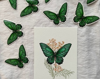 Emerald butterfly and tansy art print - Butterfly art - Watercolor - Vintage - Home decor