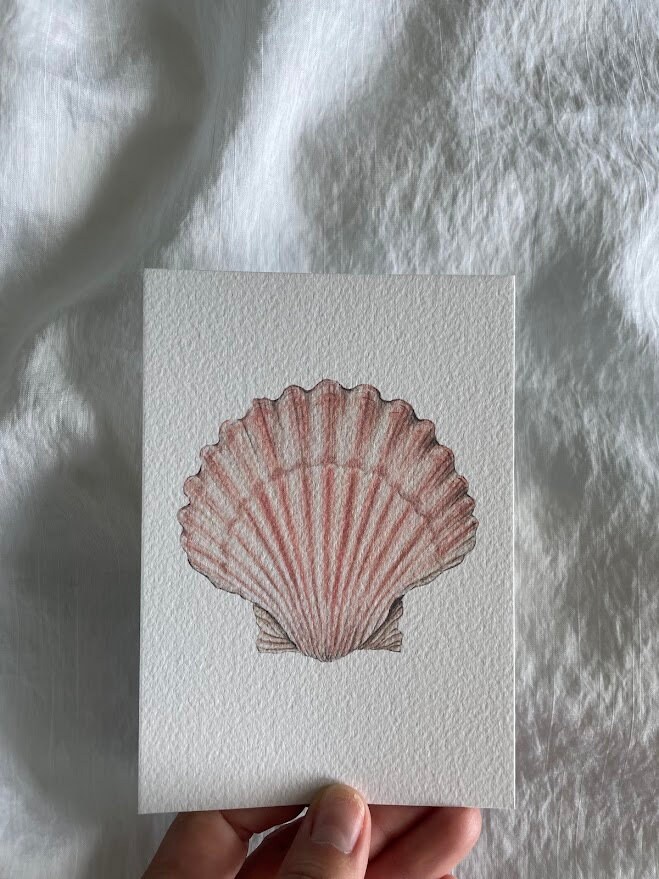 Scallop Shell Digital File. Instant Download - Etsy