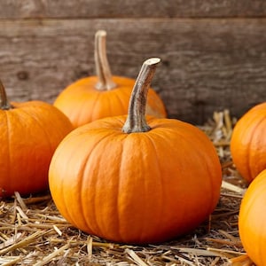 Pumpkin Pie Pecans