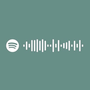 Può includere: Logo Spotify bianco e una forma d'onda audio bianca su sfondo verde acqua. Il logo Spotify è un cerchio bianco con tre linee curve. La forma d'onda è una serie di linee verticali di altezze variabili.