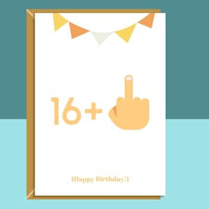 Cartão engraçado de 17 anos - Personalizado - Para ele ou para ela - completando 17 anos - Atrevido - Cartão para adulto