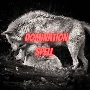 Domination Spell Dominate Spellcasting Fast casting spellwork