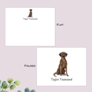 Brown Labrador Notecards, Dog Stationery, Dog Breed cards, Note Card Gift, Pet Stationery, Ten (10), Animal Lover Cards