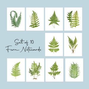 May include: A set of ten fern notecards. Each card features a different detailed illustration of a green fern frond against a white background. The text "Set of 10 Fern Notecards" is written in a cursive font.