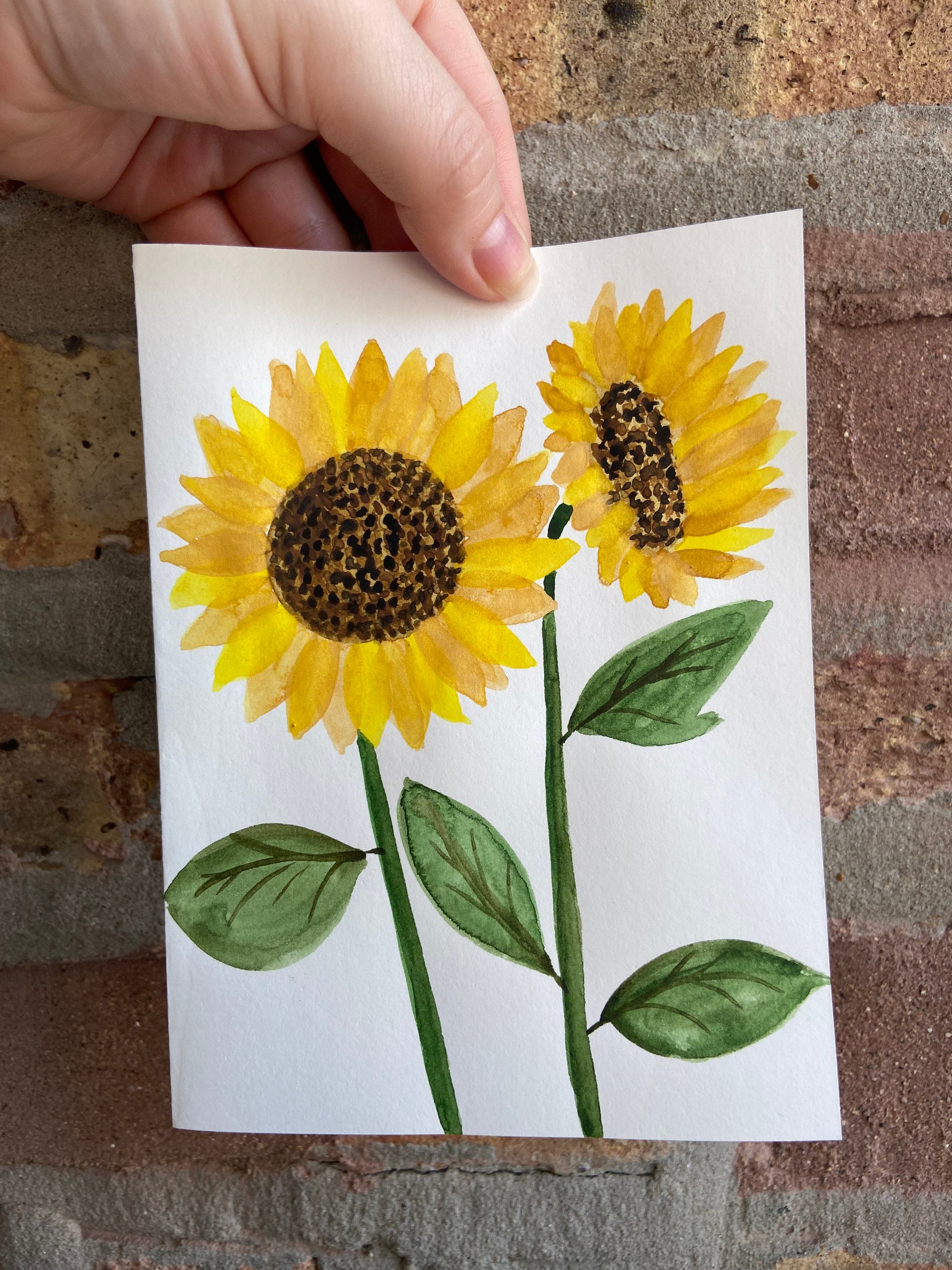 Send a Sunflower 4pack Etsy