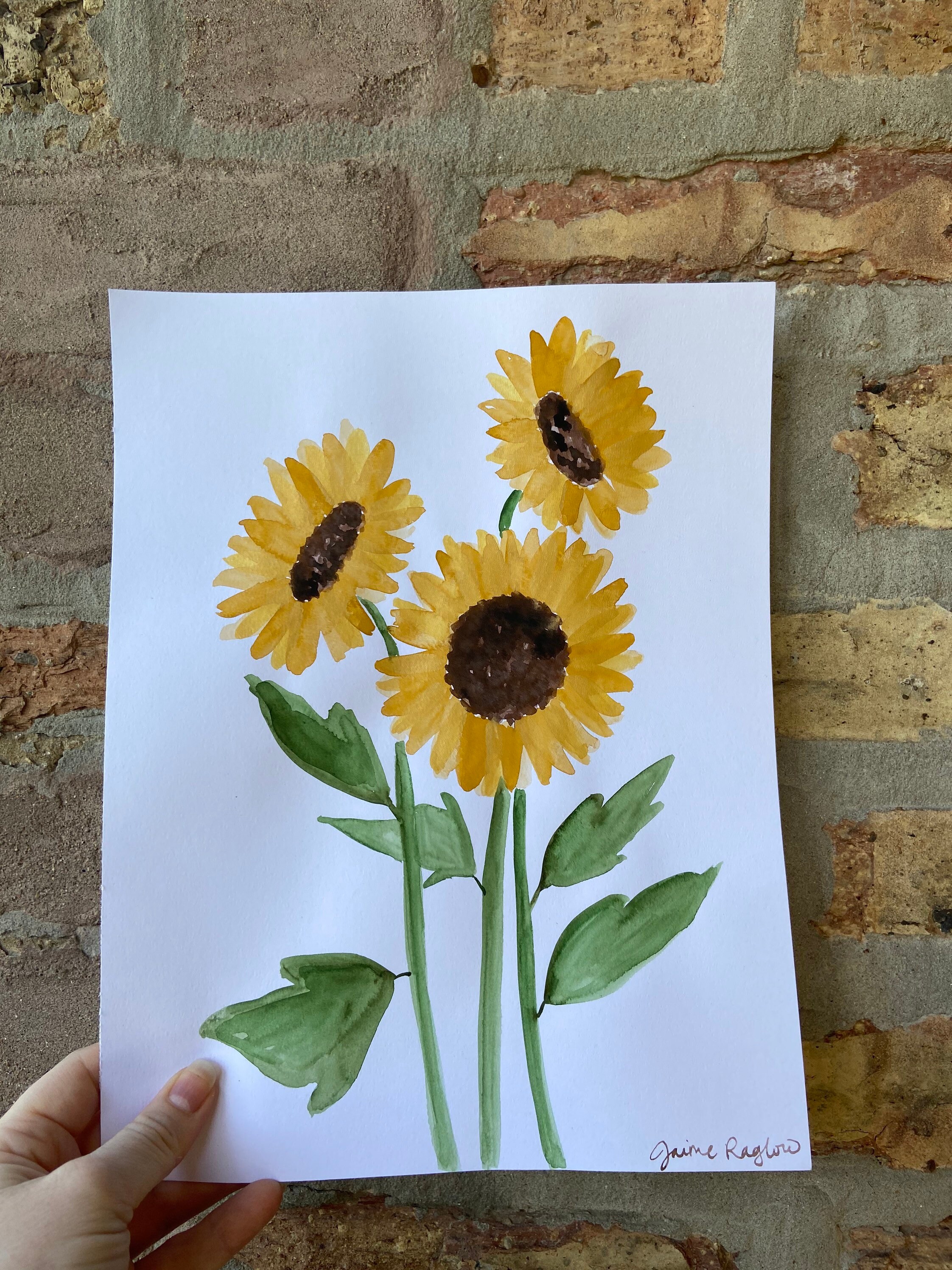 Send a Sunflower 4pack Etsy