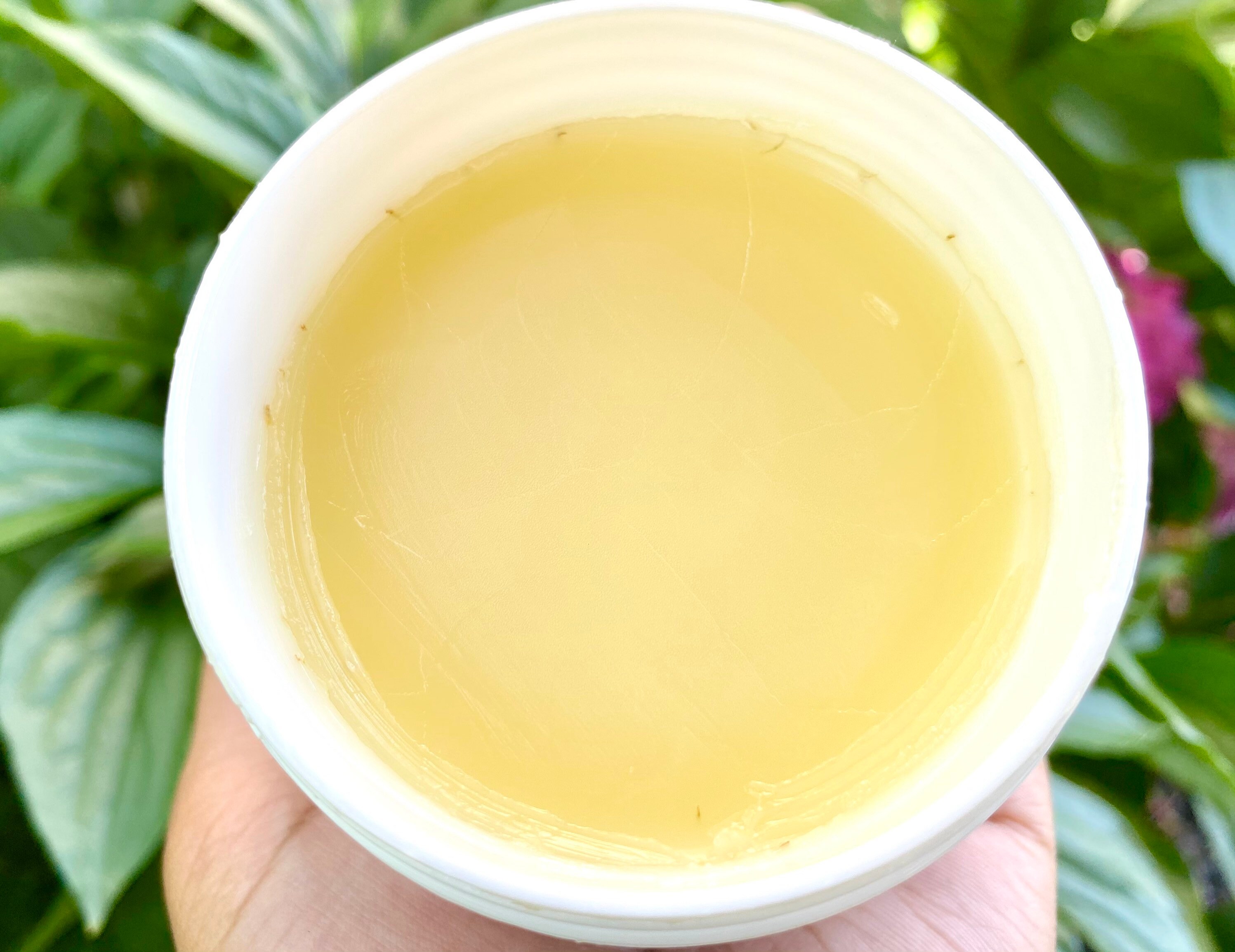 Maidenhair Pomade, Vegan Hair Pomade, Natural Hair Grease, Herbal Hair