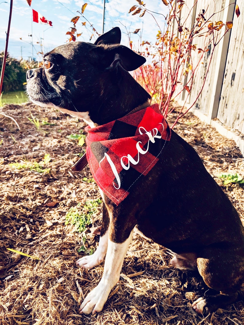 Dog Mom or Dad gift Personalized Dog Bandana Black and Red Buffalo Plaid with Pet/'s Name Tie up version Pet Mum
