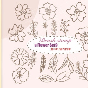 Flower brush stamps, procreate brush, procreate brush stamp.
