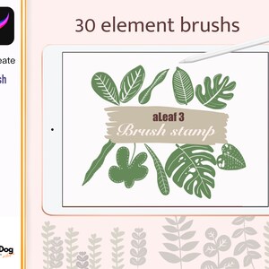 Procreate 30 Leaf Brush Stamps, Procreate Brush Graphic