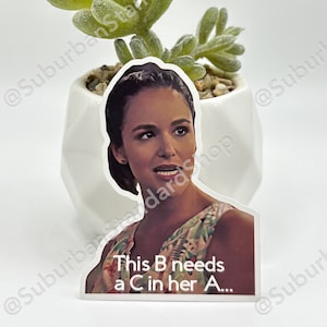 Amy Santiago - This B Needs a C in Her A - This Babe Needs A Coconut In Her Arms - Amy and Jake - Peralta - Brooklyn Nine-Nine Vinyl Sticker