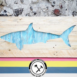 Requin / Shark