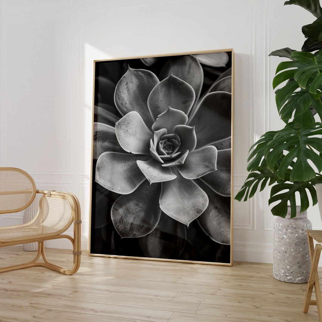 Black & White Succulent Print Poster Wall Art Maxi Home Decor Unframed ...