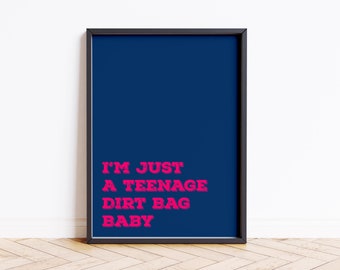 I'm Just A Teenage Dirt Bag Song Lyric Quote Print Poster Wall Art Maxi Home Decor Unframed Art Work Fun Pink Music Quotes Typeography