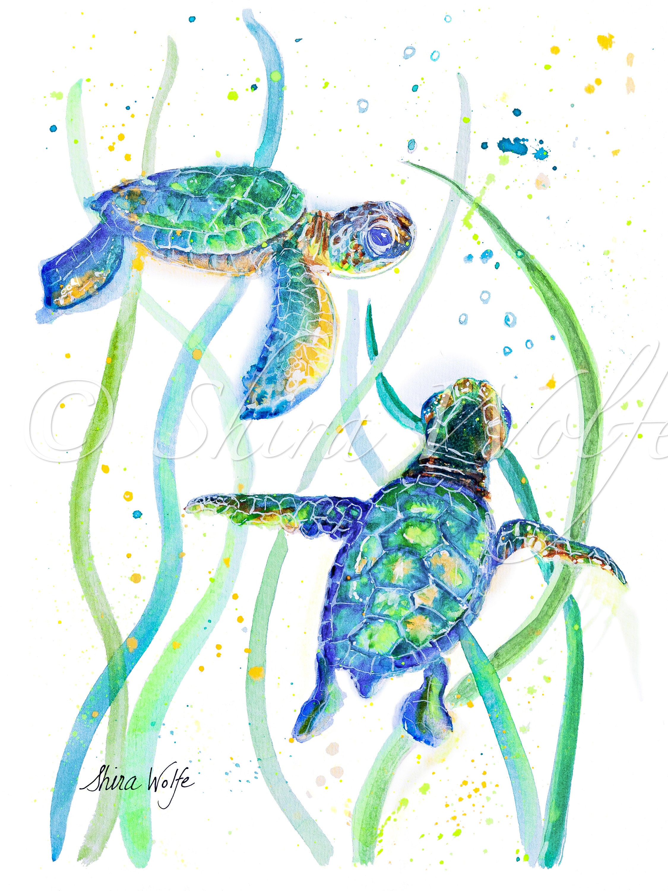 Watercolor Art Baby Sea Turtles Digital Download Etsy