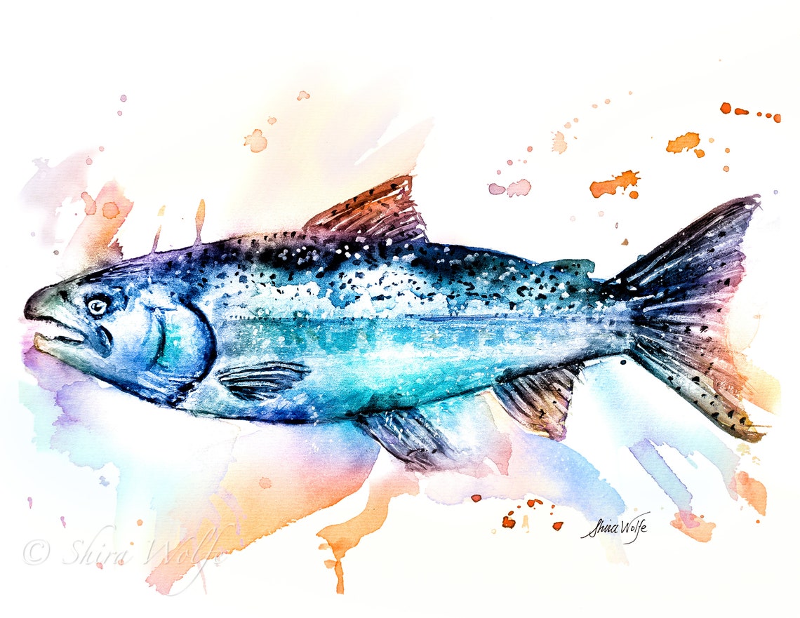 Salmon Watercolor Painting Etsy