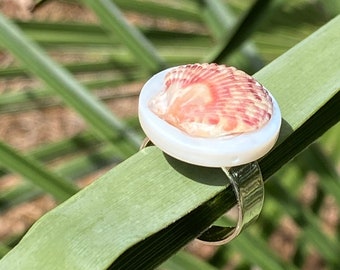 Anillo de concha marina