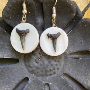 Shark tooth pendant earrings