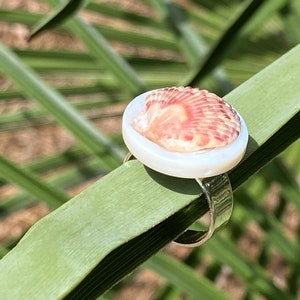May include: A silver ring with a seashell design. The ring features a white, circular setting holding a small, reddish-brown seashell. The ring is set against a green leaf, with a blurred green background.