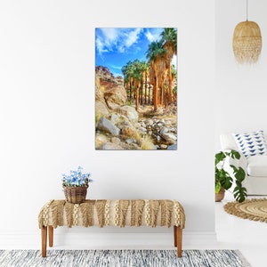 Indian Canyons | Palm Springs | California | Palm Trees | Photography