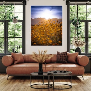 Wildflowers | Anza Borrego |California | Palm Springs | Sunset | Wall Decor | Photography | Yellow Flowers | San Diego