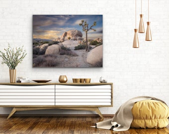 Joshua Tree National Park | Desert | California | Photography | Art | Prints