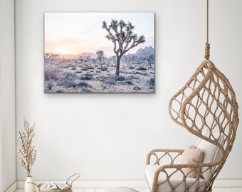 Joshua Tree National Park Photography | California | Palm Springs | Sunset | Wall Decor | Sunset