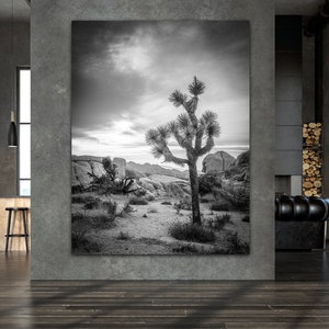 Joshua Tree National Park | Boulders | California | Photography | Black & White