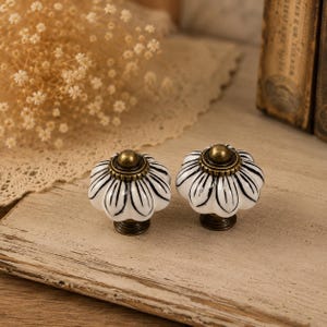 May include: Two round ceramic cabinet knobs featuring a white pumpkin-shaped body with black vertical painted stripes. Each knob is topped with a small, circular, antique brass-toned metal accent and a matching brass-toned base for mounting.
