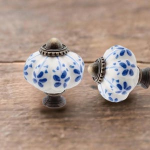 Può includere: Due pomelli decorativi per mobili. Ogni pomello presenta una forma di zucca in ceramica bianca con motivi floreali blu. I pomelli hanno basi e ferramenta in metallo color bronzo, su una superficie di legno.