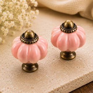 Può includere: Due pomelli per mobili in ceramica rosa a forma di zucca con ferramenta in ottone anticato. I pomelli sono su una superficie di pietra colorata chiara, con un rametto di fiori bianchi sullo sfondo.