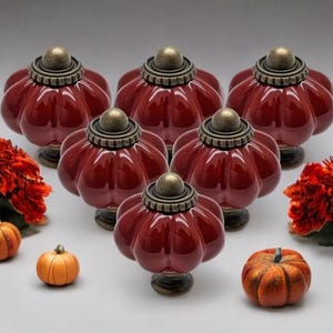 May include: A collection of six burgundy ceramic pumpkin-shaped cabinet knobs with antique brass hardware. The knobs are surrounded by orange flowers and miniature pumpkins, creating a fall theme.