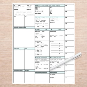 ICU Nurse Report Sheet With Hourly Rounding - Etsy