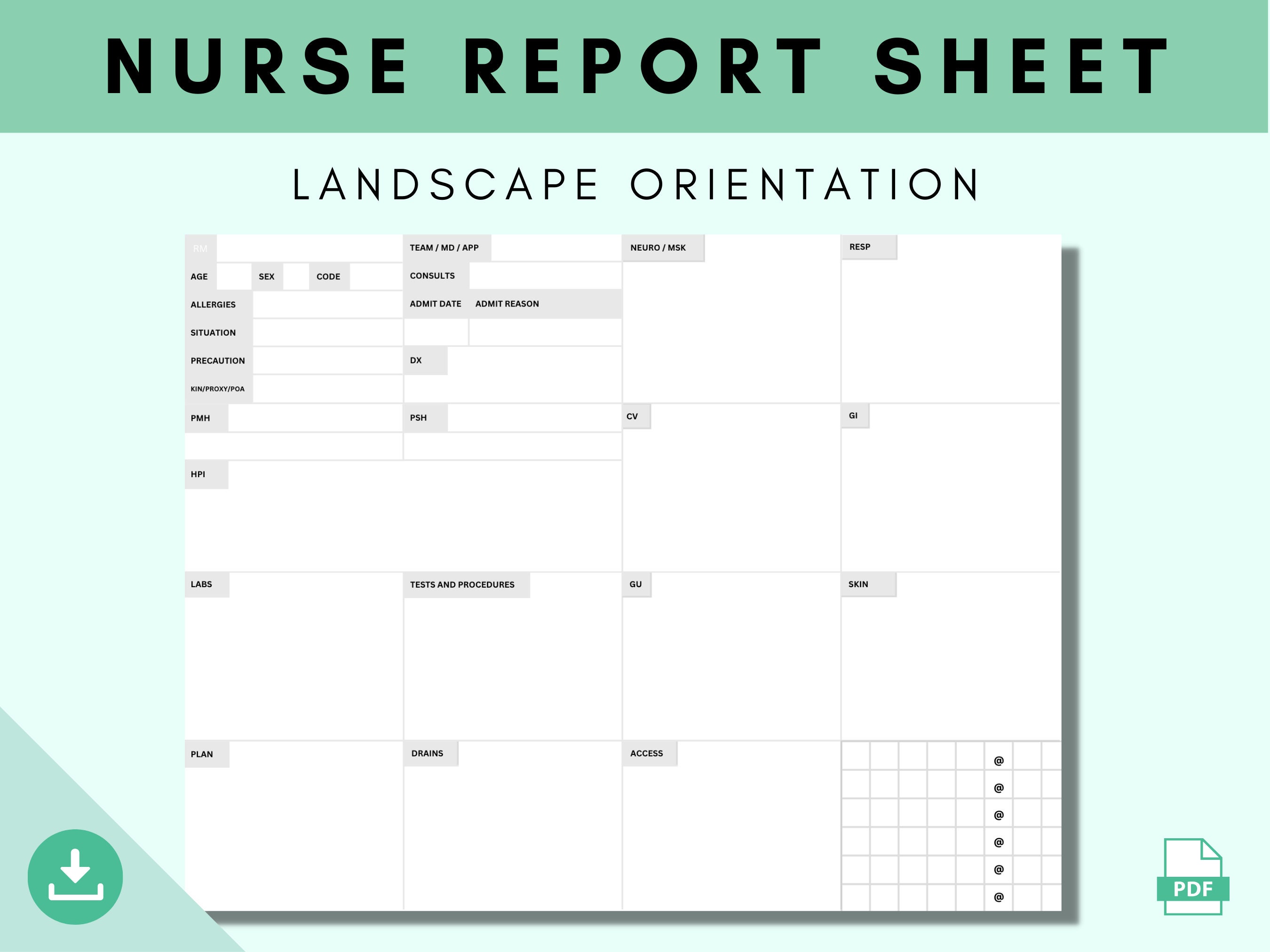 Nurse Brain Sheet for New Grad Rns Etsy