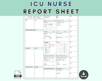 ICU Nurse Report Sheet mit stündlicher Rundung