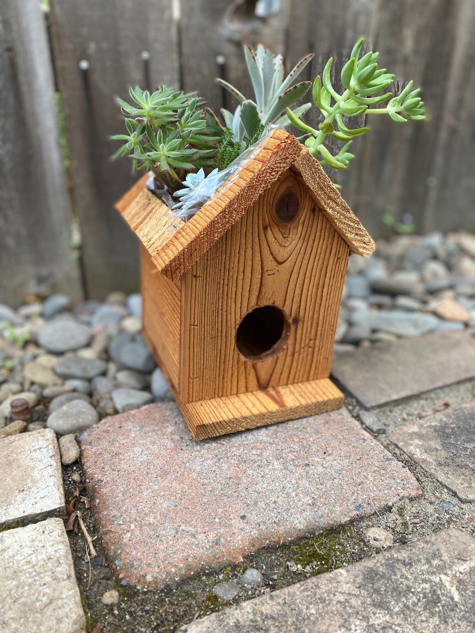 Bird House Planter Etsy