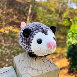 Opossum Pal