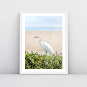 Heron on the Beach, art photo print - archival print on matte paper
