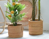 Woven Rattan Basket for Plant Pot, Storage Basket, Fruit Basket, Boho Basket, Bohemian Indoor Plant Pot