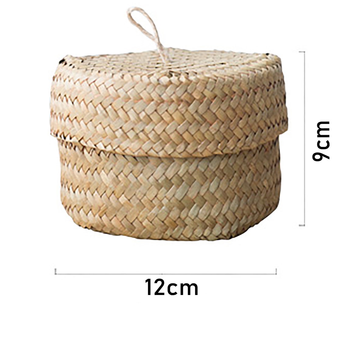 Round Seagrass Woven Small Basket with Hinged Lid Vintage Etsy