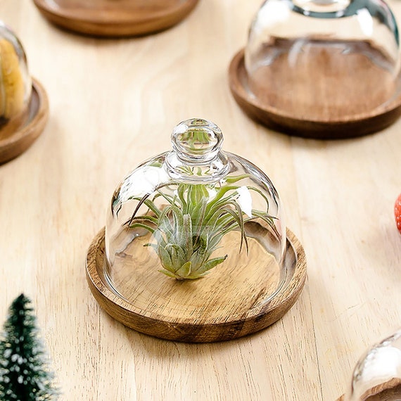 Mini glass cake stand cheap