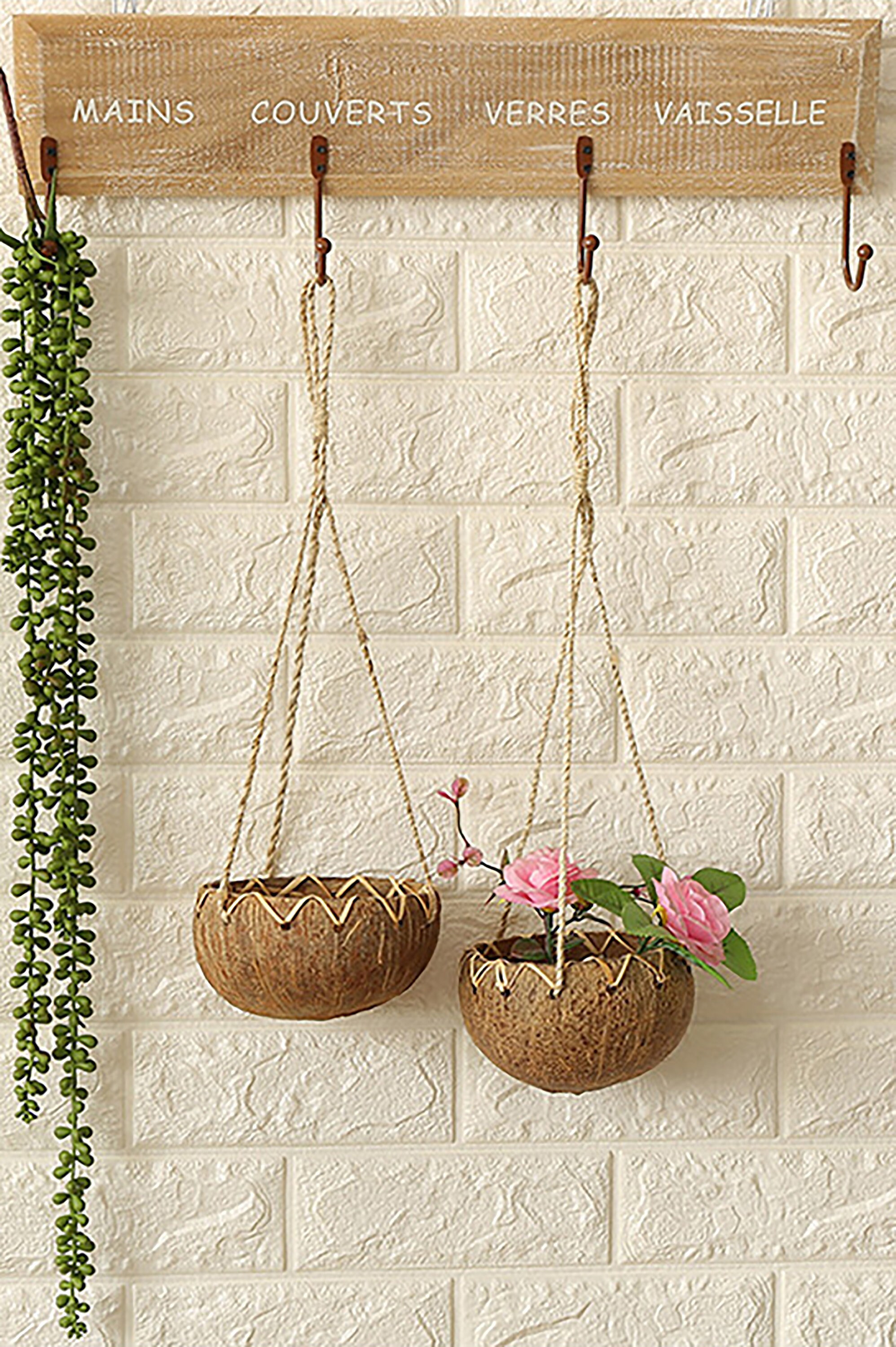 Coconut Shell Hanging Planter for Live Succulent Pot Palm Etsy