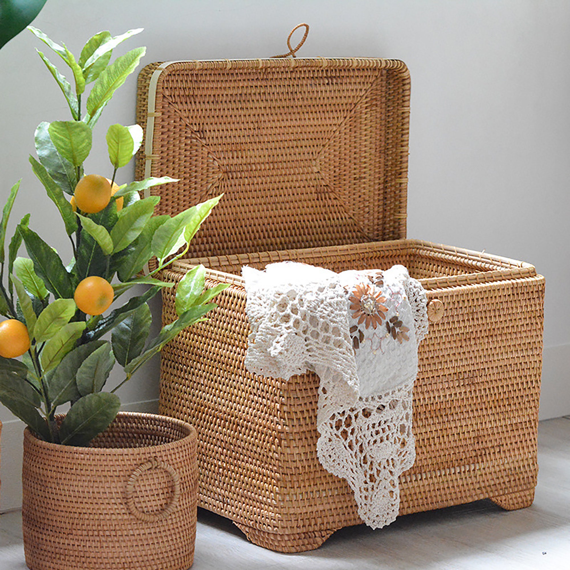 Storage basket with sale lid