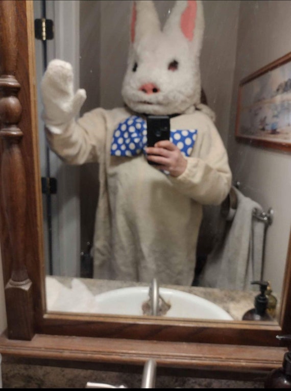 Creepy Bunny Costume