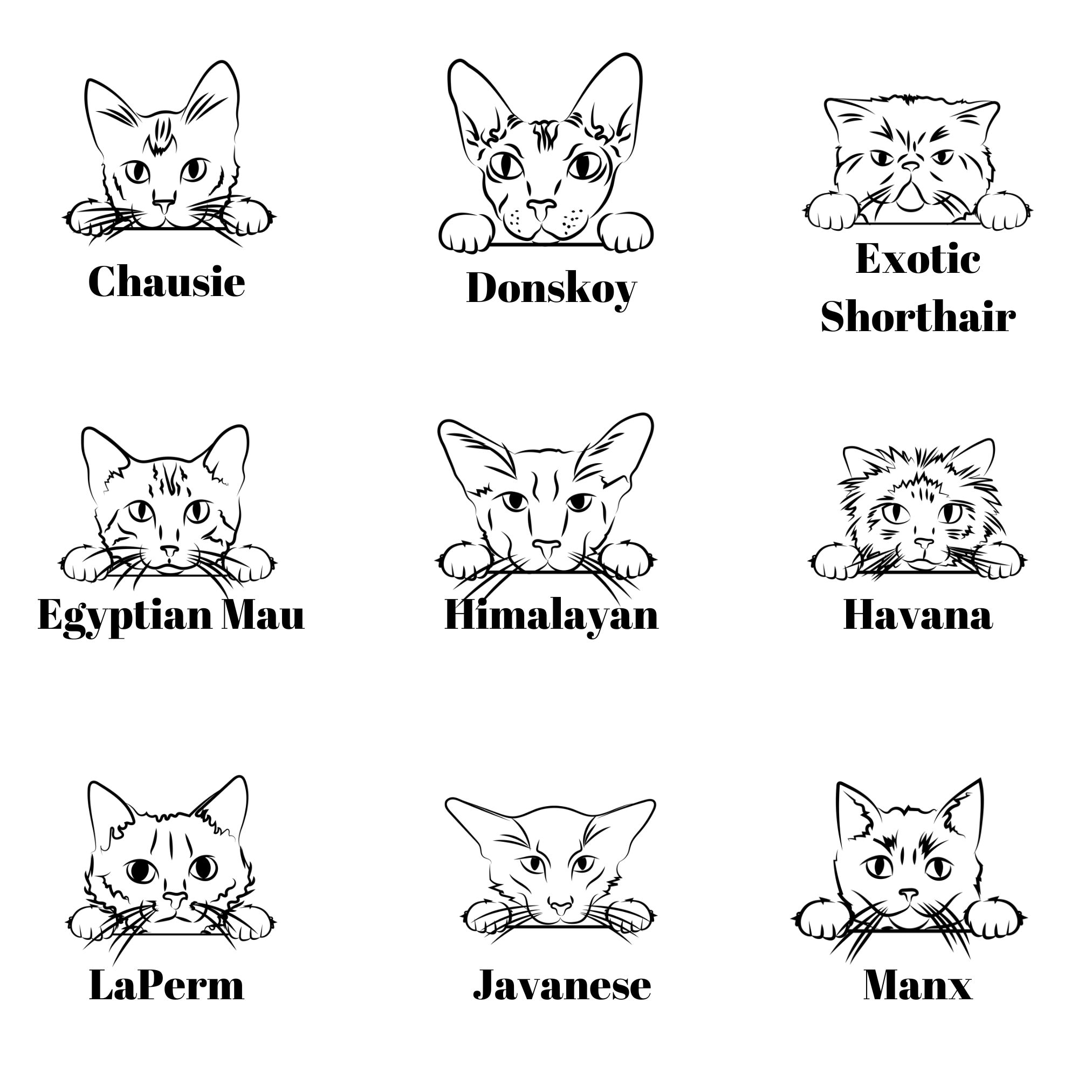 Custom Personalized Cat Breed Name Sweatshirt …